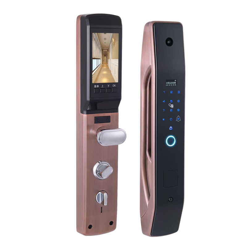 Smart Home Door Lock - 한데일리 설치 간편 지능형 전자 지문