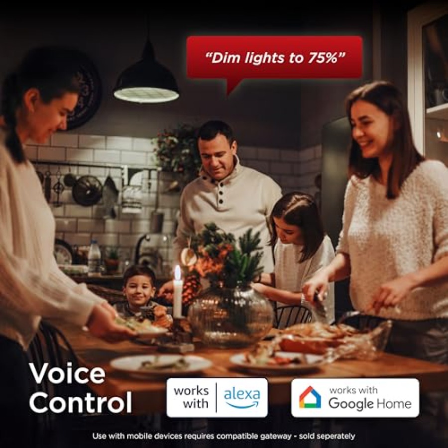 Z-Wave Plus 장거리 벽면 내장형 스마트 홈 자 - Smart Home Plus 리뷰 및 가격
